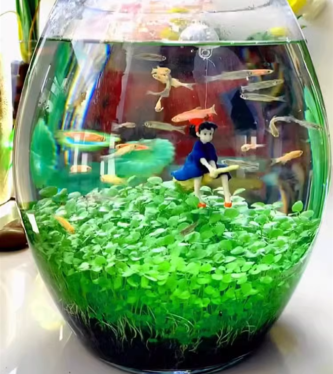 🌿Air Purifying Fish Tank Aquatic Plant Seeds-Plantjoyfarm