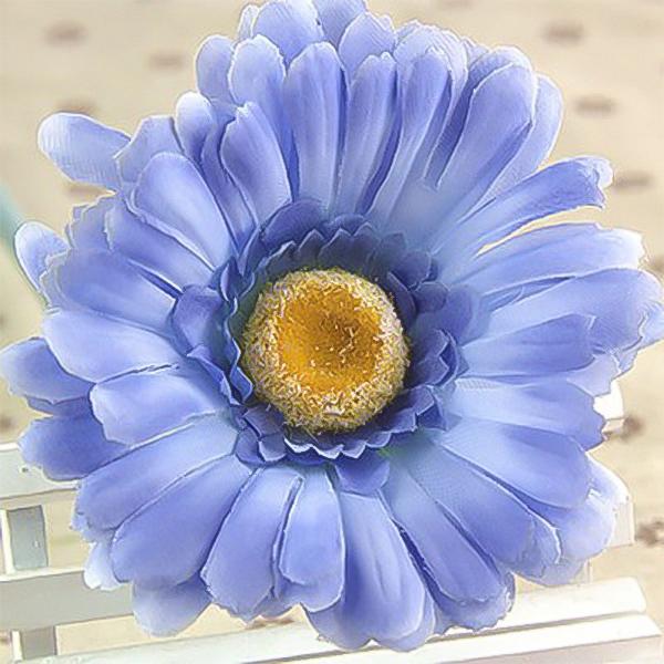 Blue gerbera flower seeds, sun flower-Plantjoyfarm