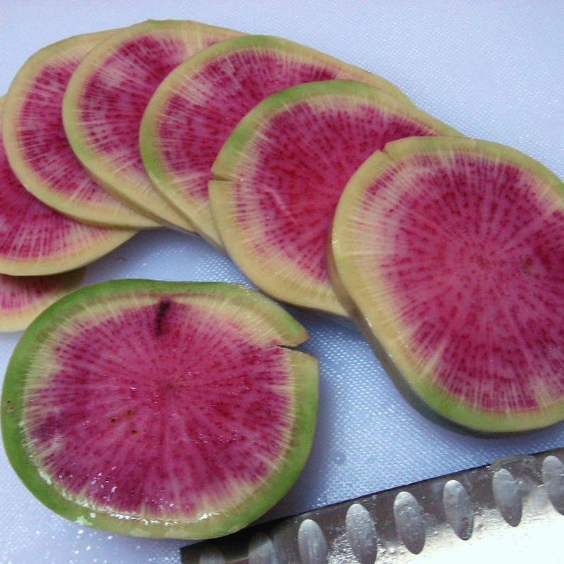 WATERMELON RADISH Beauty Heart Raphanus Sativus Pink White Vegetable Seeds-Plantjoyfarm