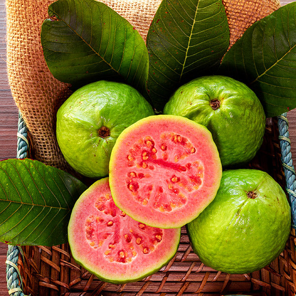 Tropical Strawberry Guava Organic Pink Guava Seeds-Plantjoyfarm