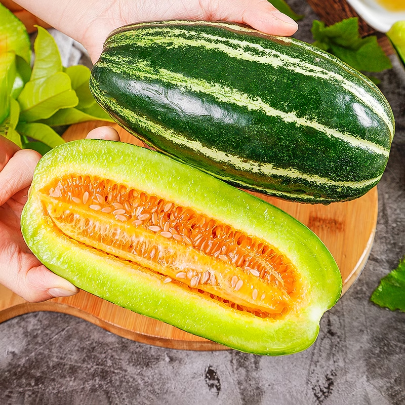 Honey Rock Melon Seeds Muskmelon Seeds-Plantjoyfarm