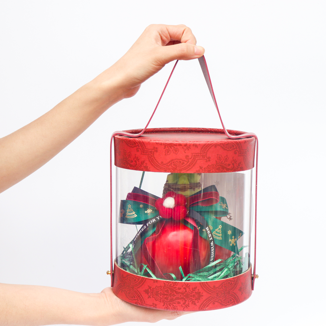 Amaryllis Bulbs - Easy-Care Red Wax with Red Blooms-Plantjoyfarm