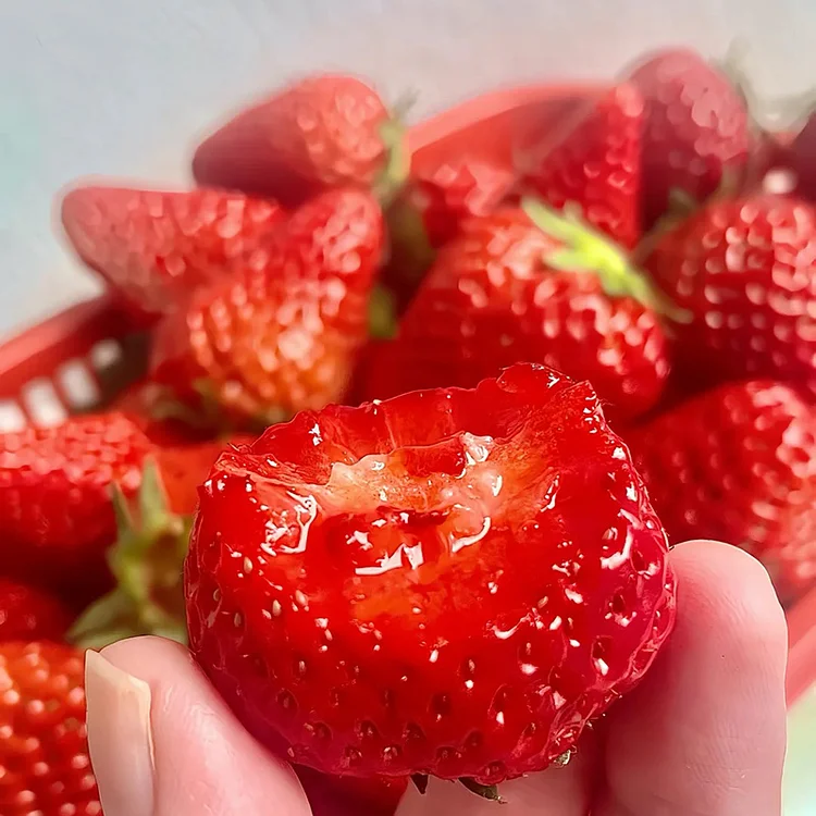 🍓Cream Strawberry Seeds