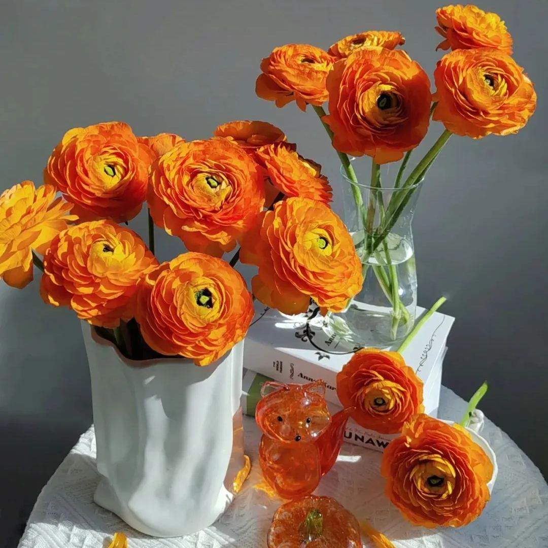 🌸Ranunculus - A Garden of Eternal Elegance