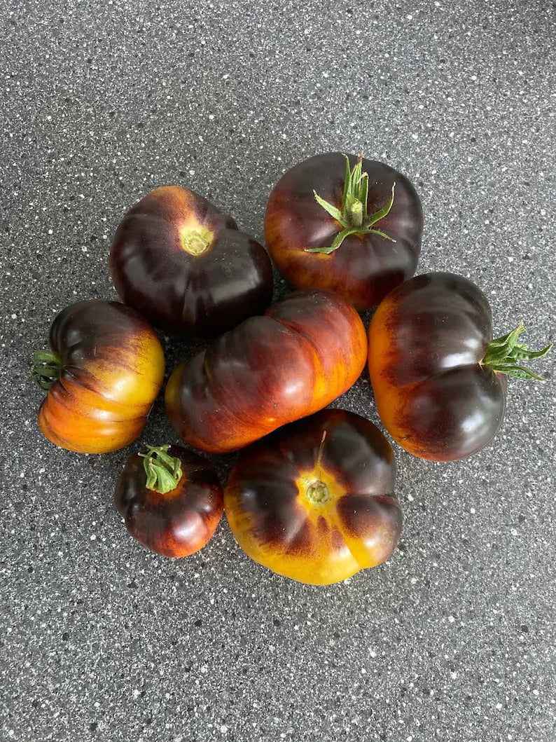 Lucid Gem Tomato Seeds Organic, Heirloom Tomatoes-Plantjoyfarm
