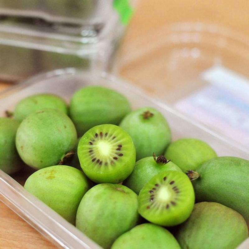 Egrow 50Pcs(100Pcs)/Bag Mini Kiwi Berry Seeds Miniature Kiwi Berry Hardy Actinidia Arguta Fruit Seeds-Plantjoyfarm