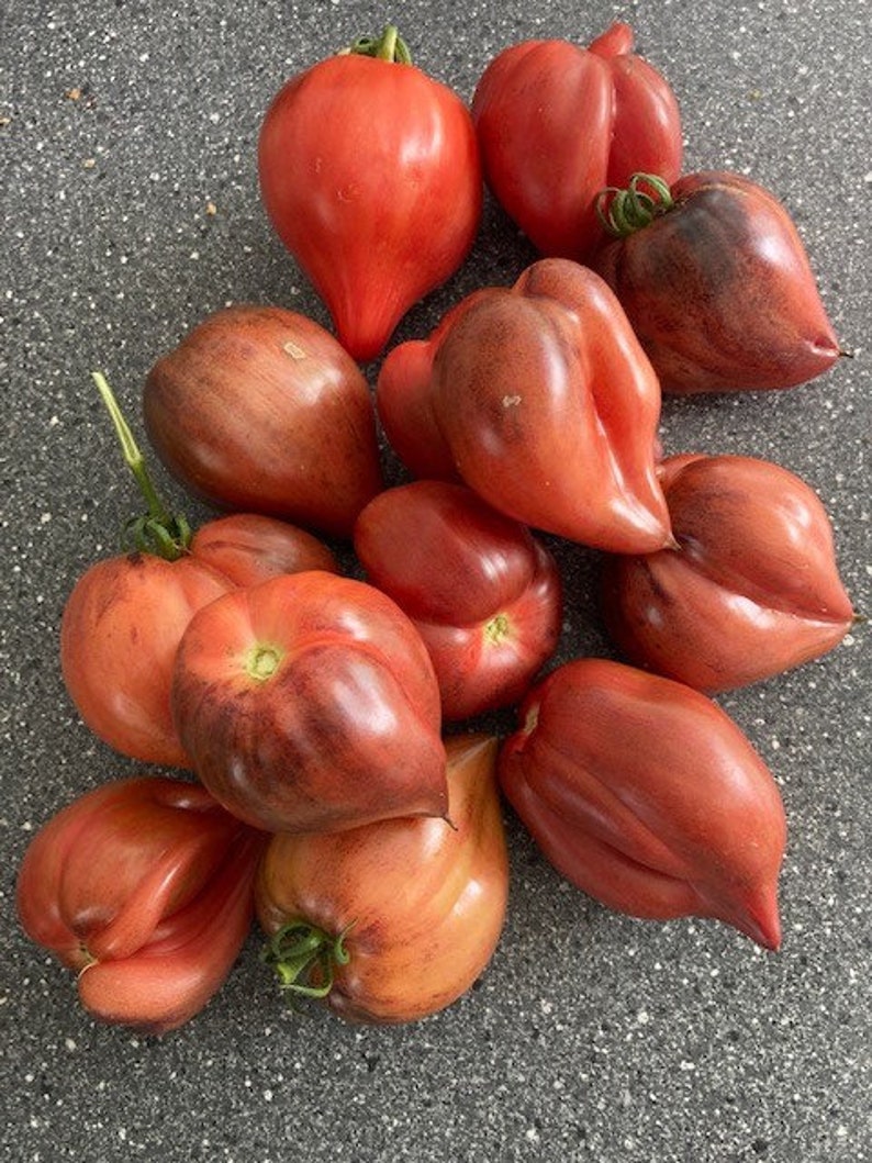 Crushed Heart Tomato Seeds  Organic Heirloom Tomatoes-Plantjoyfarm