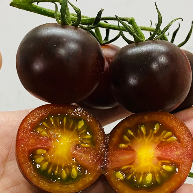 🍅Rare Black Tomato Seeds-Plantjoyfarm
