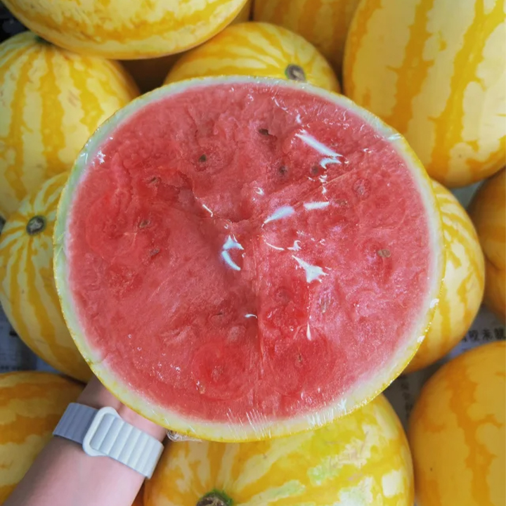 Golden Red Watermelon Seeds-Plantjoyfarm