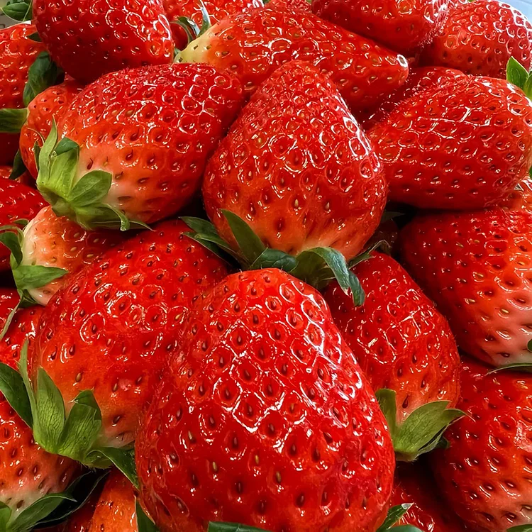 🍓Cream Strawberry Seeds