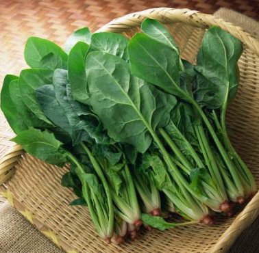 Spinach In The Snow Seeds-Plantjoyfarm