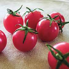 Tomato Cherry Pink Grape-Plantjoyfarm