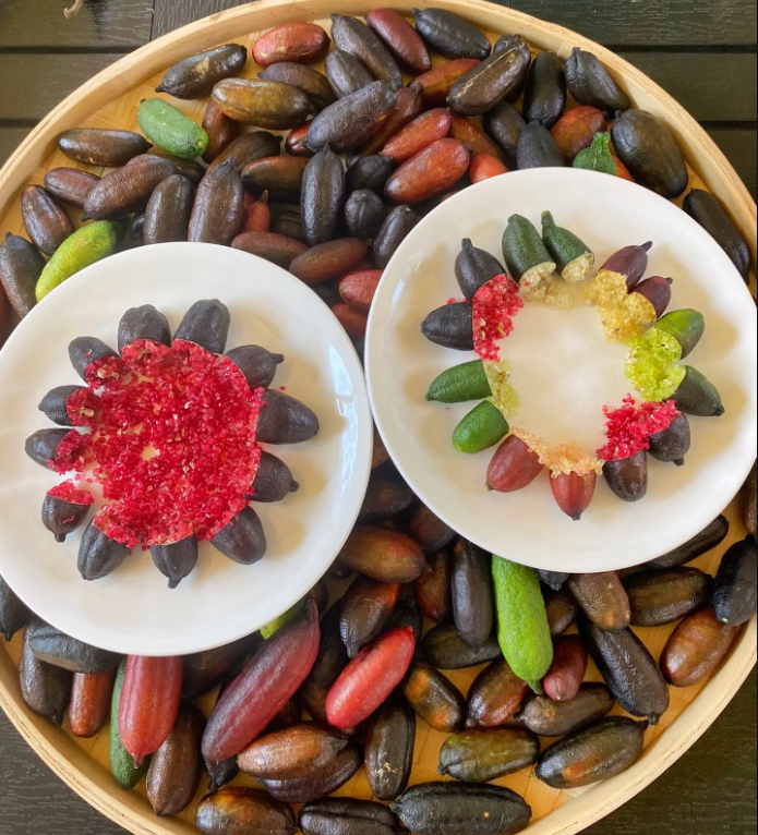 Finger Lime Seeds Lemon Caviar Seeds-Plantjoyfarm