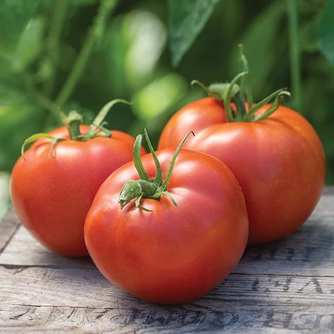 The Juicy Delight—Maofen Tomatoes🍅