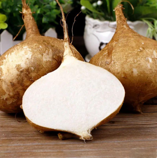Jicama Pachyrhizus Erosus Seeds-Plantjoyfarm