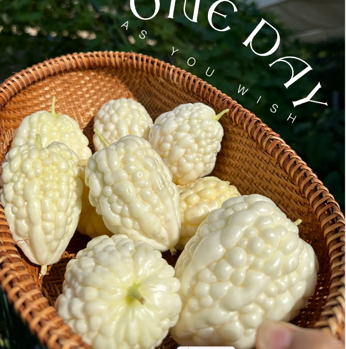 Apple Bitter Melon—Have You Tried It?-Plantjoyfarm