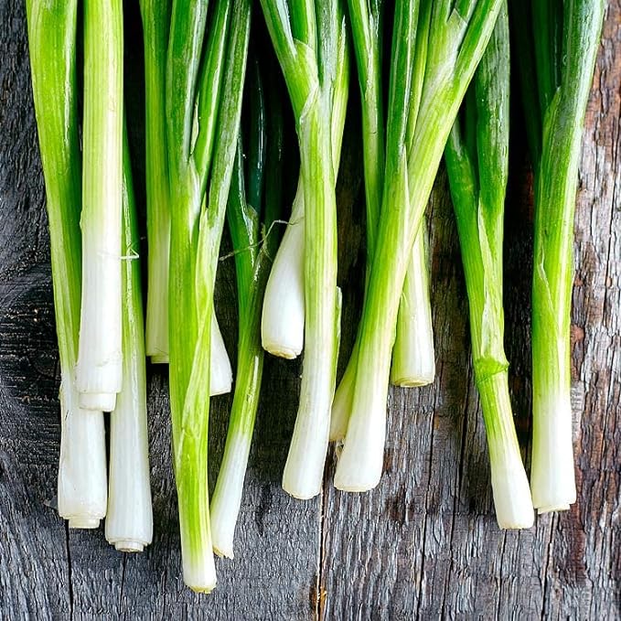 Green Onion seeds-Plantjoyfarm