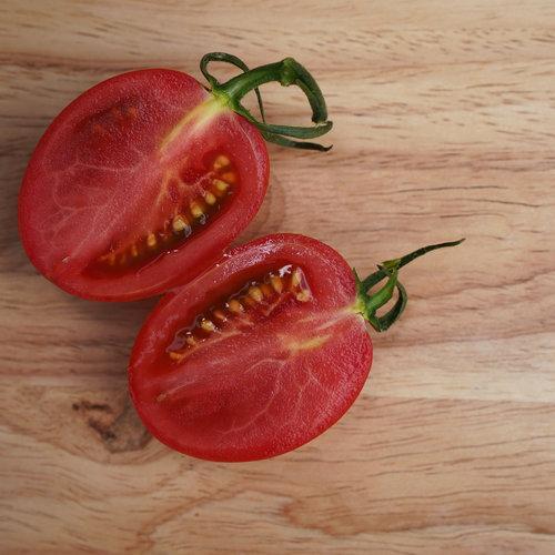 Garden Gem Tomatoes-Plantjoyfarm