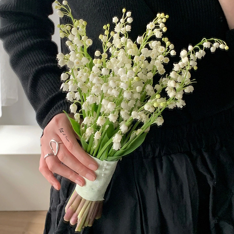 Lily of the Valley Roots-Plantjoyfarm