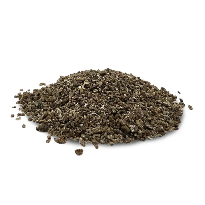 Wildflower Seeds Shaker Bag, Sunny Meadow Flower Mix-Plantjoyfarm