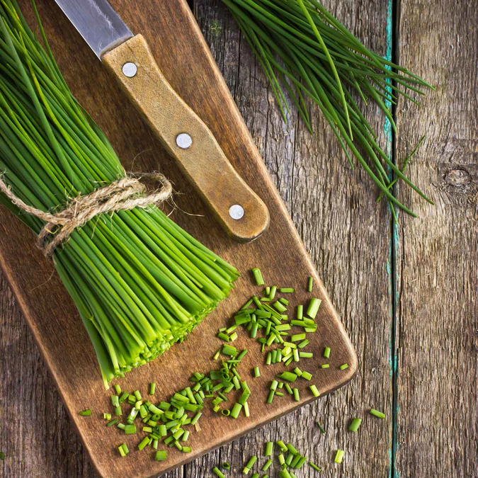 🌿Chives - Grow Fresh Herbs Year-Round in Your Garden! 