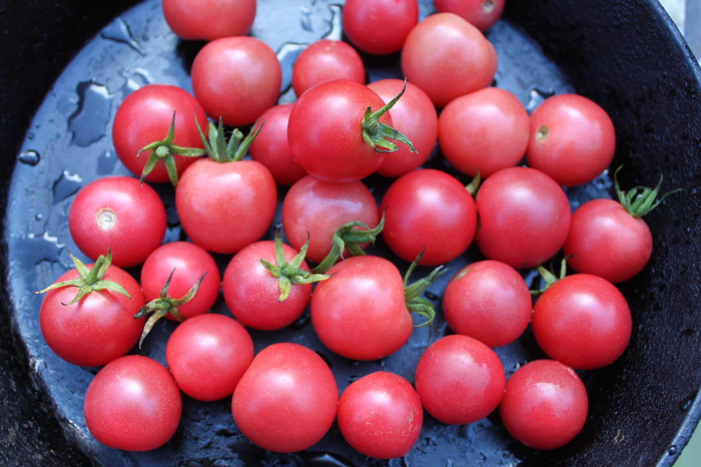 Tomato Cherry Pink Grape-Plantjoyfarm