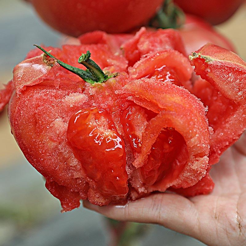 The Juicy Delight—Maofen Tomatoes🍅