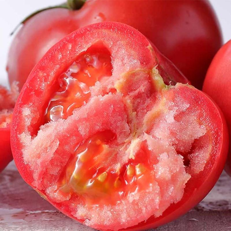 The Juicy Delight—Maofen Tomatoes🍅