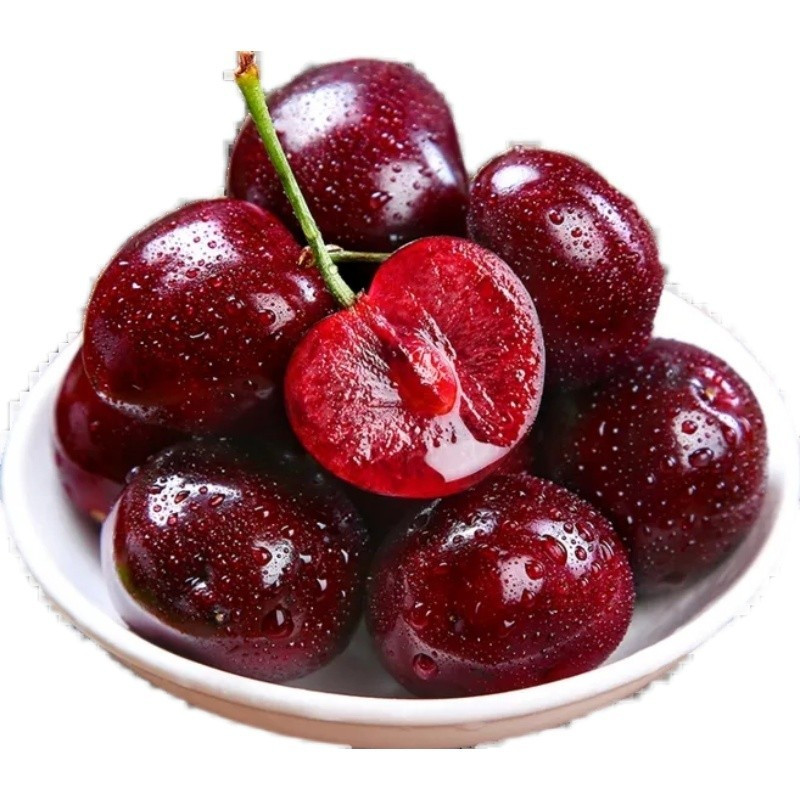 Rainier Cherry Fruit Seeds(🪴Buy 4 Get 1 Free🌿Can be planted in winter)