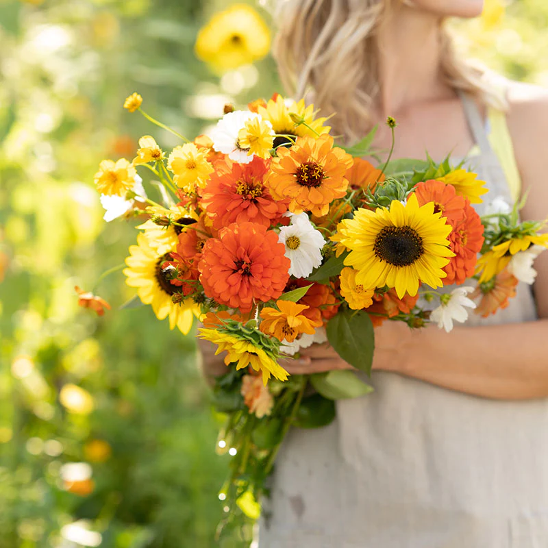 Sunset Mix - Orange, Yellow & White Flower Seed Mix-Plantjoyfarm