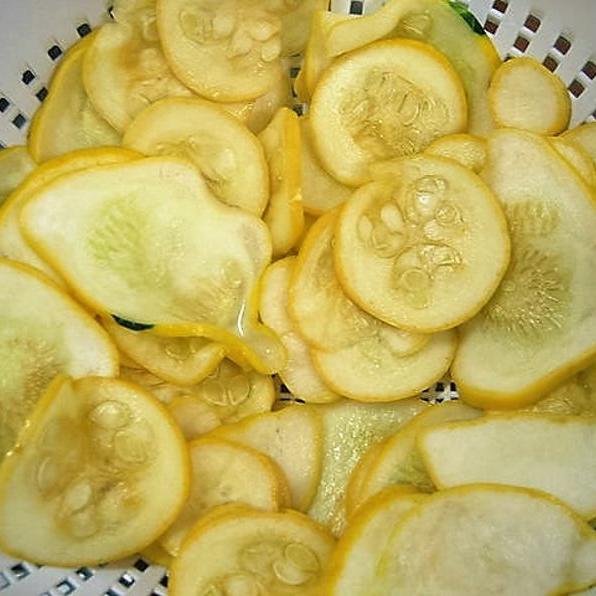 30pcs Early PROLIFIC STRAIGHTNECK SQUASH Yellow Summer Bush Heirloom Seeds-Plantjoyfarm