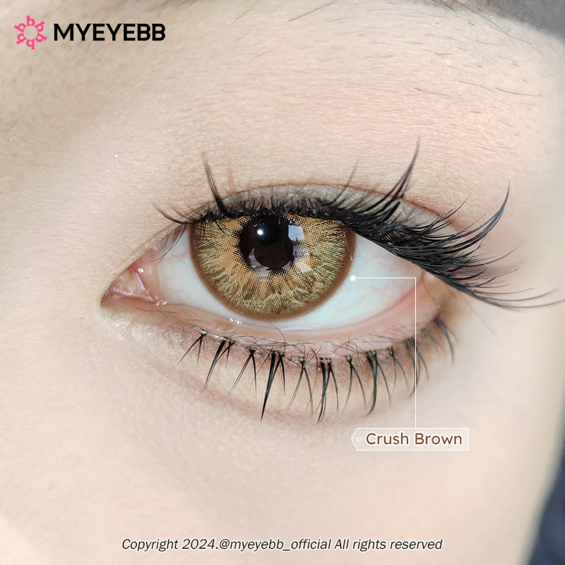 MYEYEBB Crush Brown Farbige Kontaktlinsen - image 4