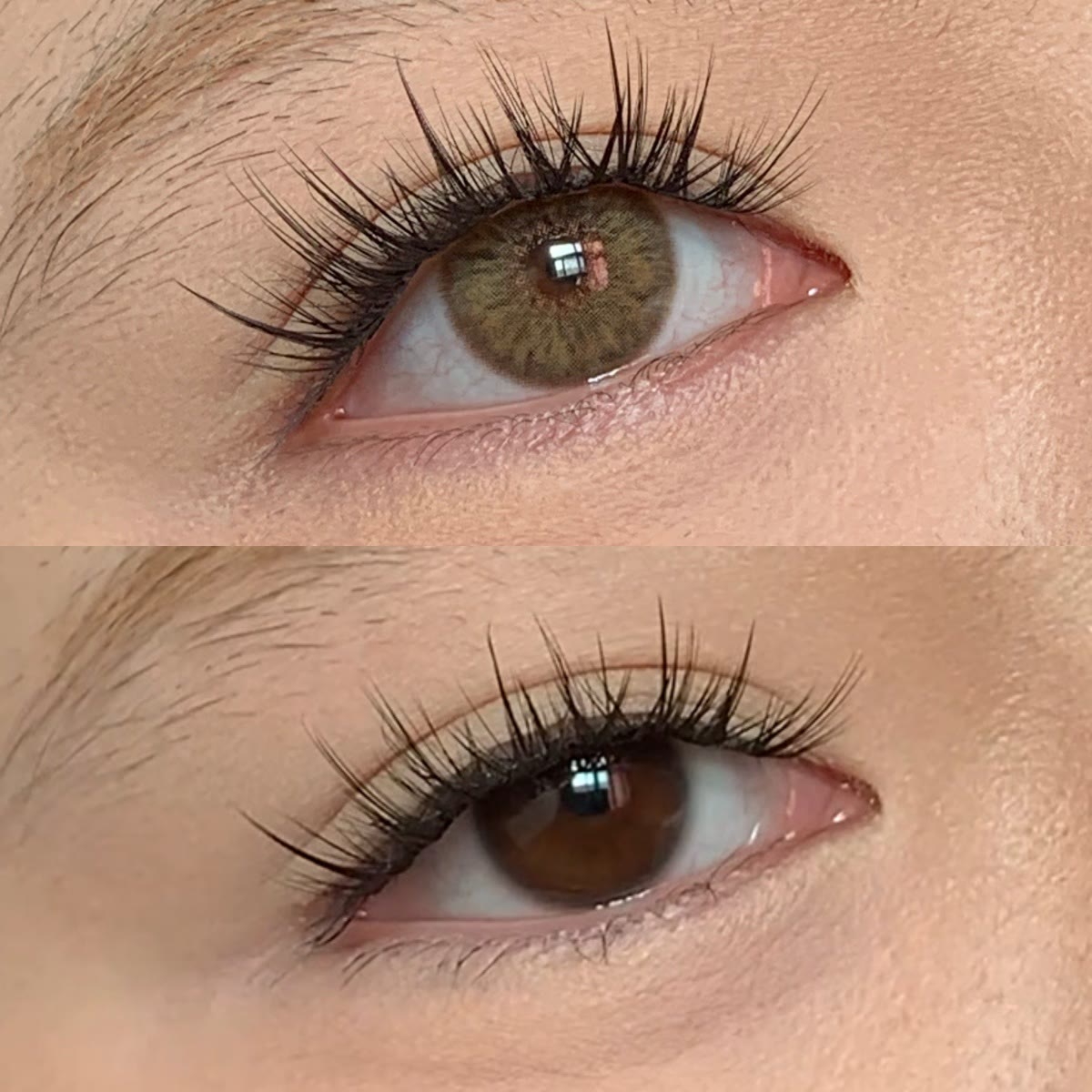 MYEYEBB Petite Iris Brown Farbige Kontaktlinsen mit Sehstärke - image 2