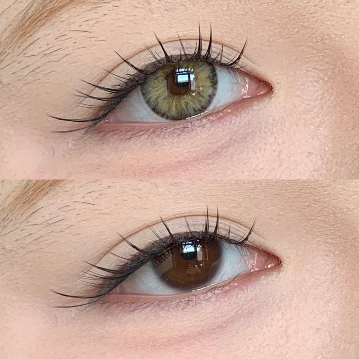 MYEYEBB Pro Halo Iris Braune Farbige Kontaktlinsen - image 2