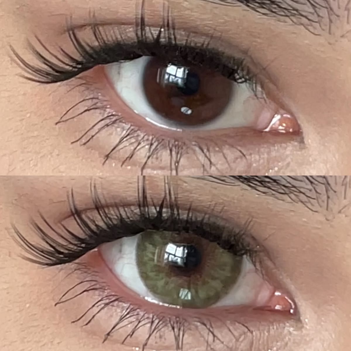 MYEYEBB Halo Iris Green Farbige Kontaktlinsen mit Sehstärke - image 2