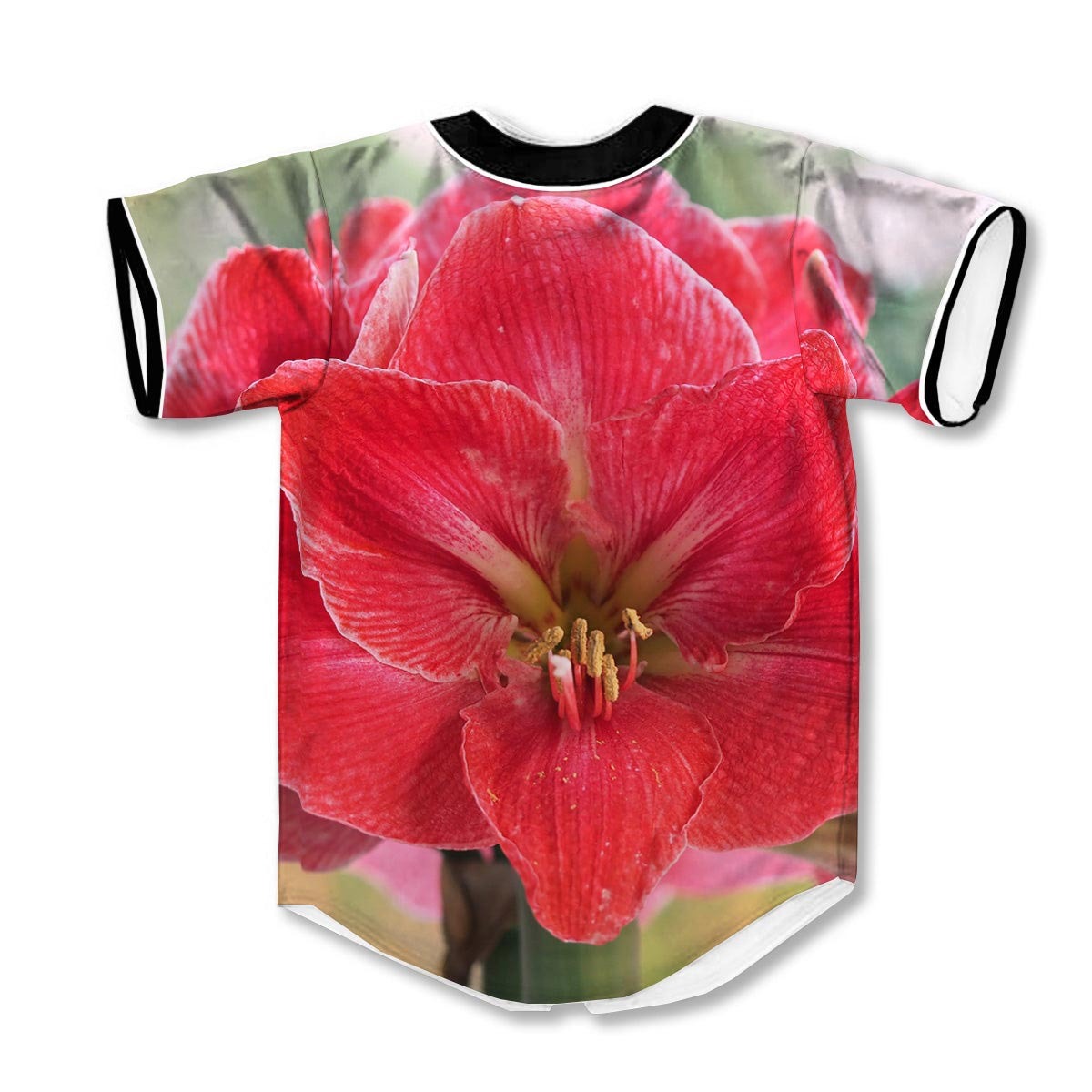 Fresh Amaryllis 3d Print Full Size Baseball Jerseys