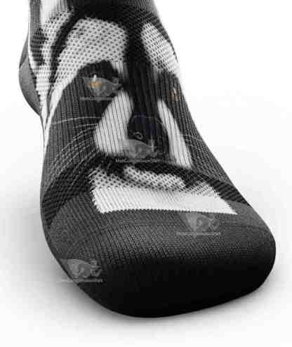 Rad Racoon Knee High Compression Socks