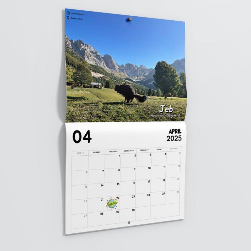 Dogs Pooping in Beautiful Places 2025 Calendar