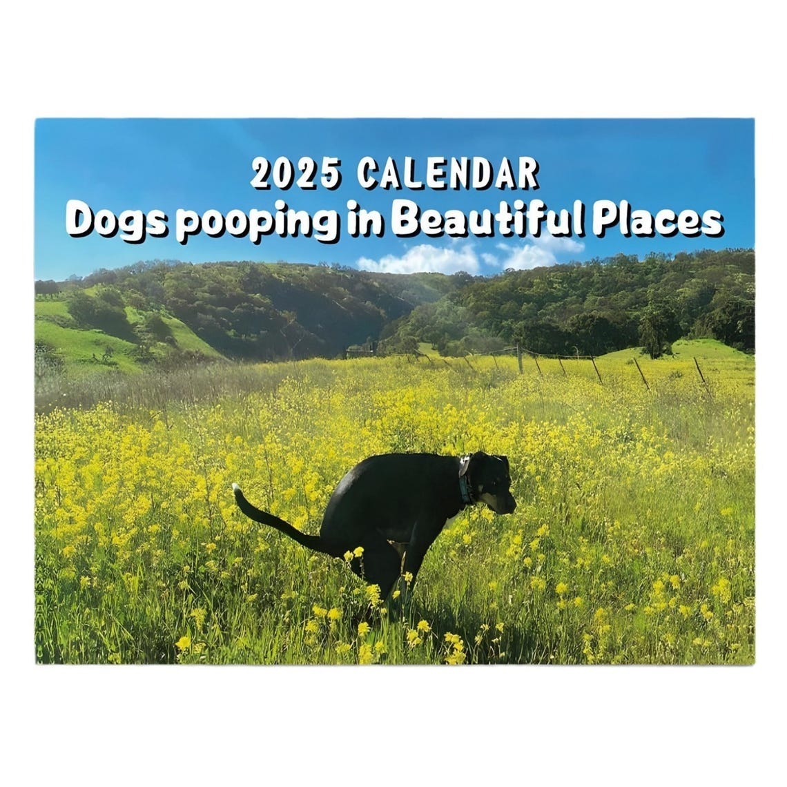 Dogs Pooping in Beautiful Places 2025 Calendar
