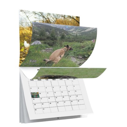 Dogs Pooping in Beautiful Places 2025 Calendar