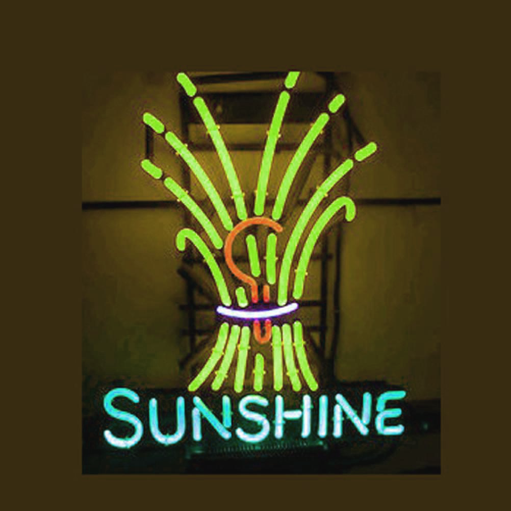 Professional Sunshine Neon Sign Wall Decor