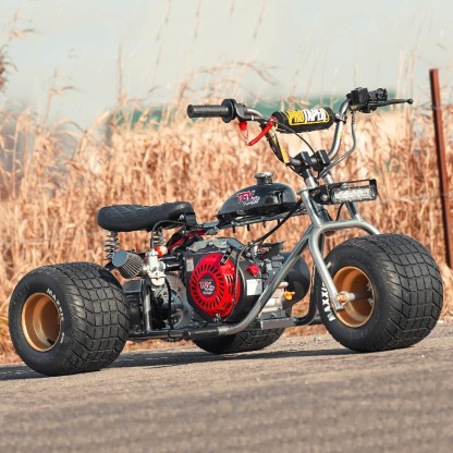 🔥LIMITED TIME OFFER💥READY TO RIDE - TGV MINI TRIKE (PLATINUM EDITION)