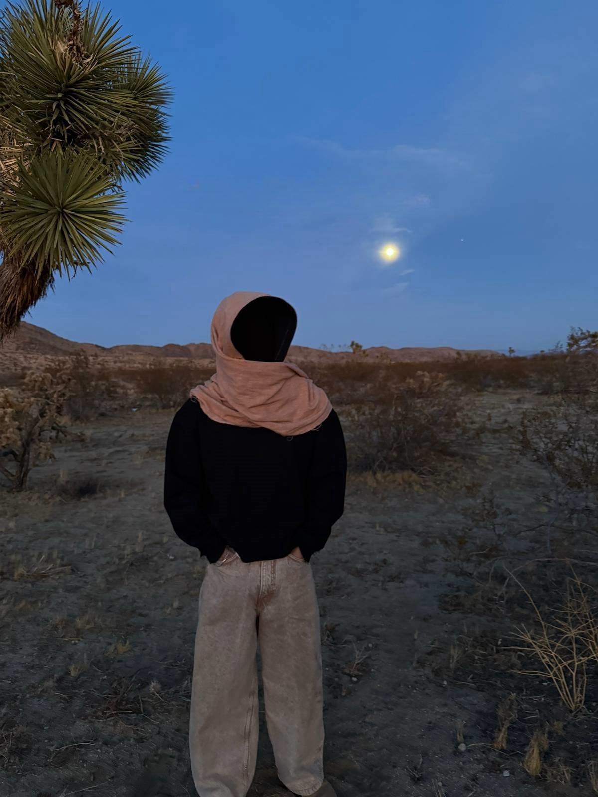 "DUNE SHADOW" DESERT SHROUD HOODIE