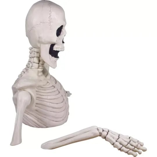 HALLOWEEN SALE 80% OFFGiant Skeleton Groundbreaker