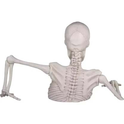 HALLOWEEN SALE 80% OFFGiant Skeleton Groundbreaker