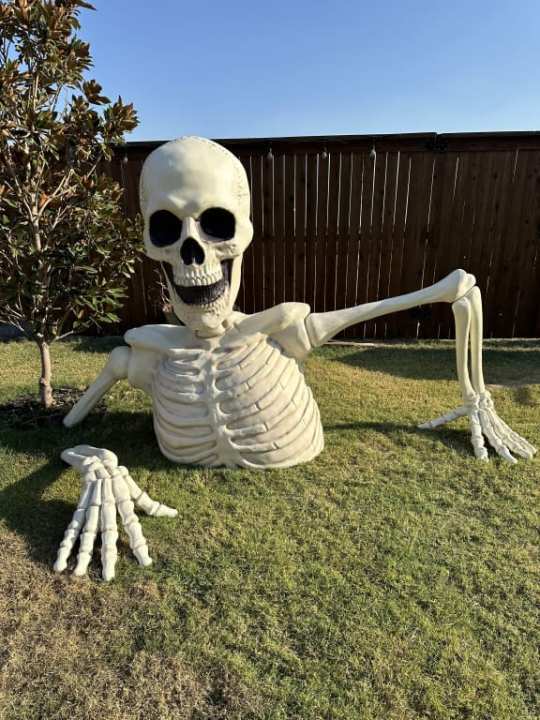 Giant Skeleton Groundbreaker