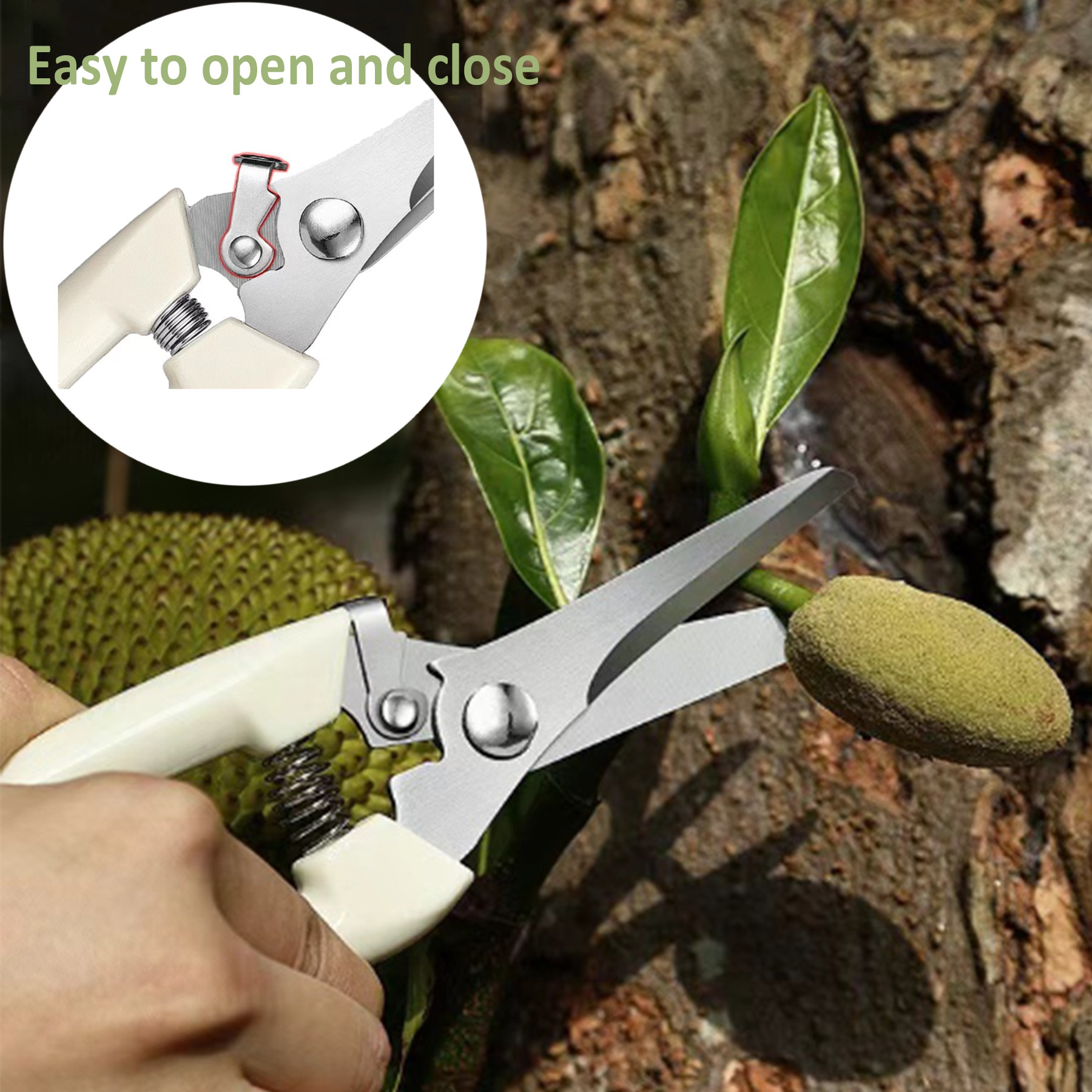 T TOVIA Stainless steel pruning shears, gardening shears, garden scissors, fruit picking shears, spring hand tool shears, safe and labor-saving-T TOVIA Offical Online Store