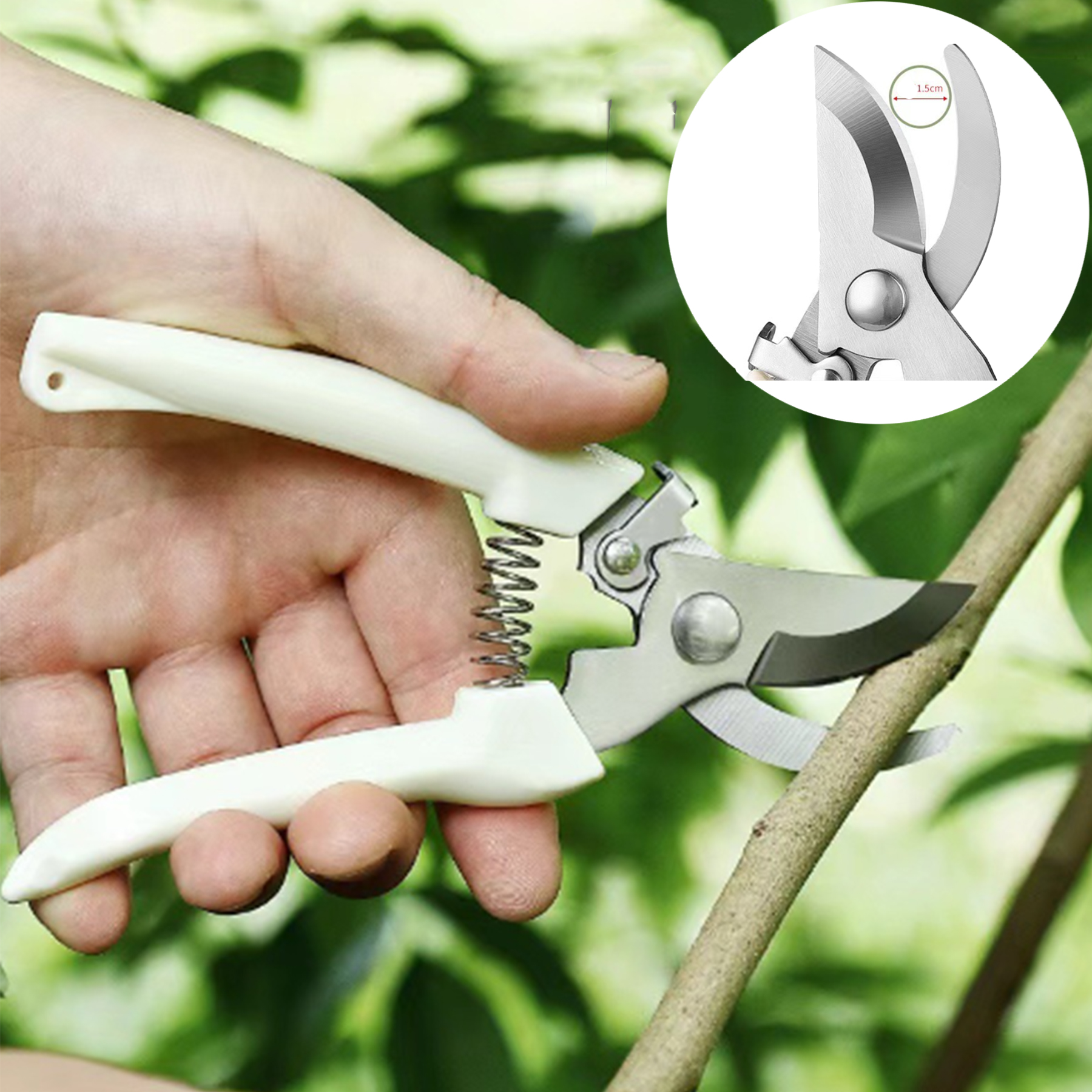 T TOVIA Stainless steel pruning shears, gardening shears, garden scissors, fruit picking shears, spring hand tool shears, safe and labor-saving-T TOVIA Offical Online Store