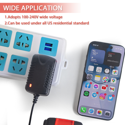 T TOVIA Battery Charger Adapter, Replacement Charger for 21V/1A Lithium Battery, Original charger for high pressure washer PPG87, for Home(US Standard 100-240V)-T TOVIA Offical Online Store