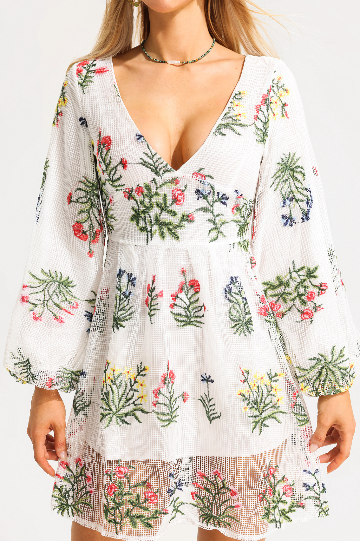 Embroidered Floral Lantern Sleeve V-Neck Mini Dress